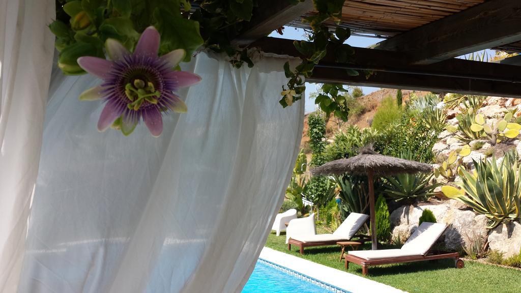 Bed & Breakfast | Guest House Casa Don Carlos Alhaurin el Grande Luaran gambar