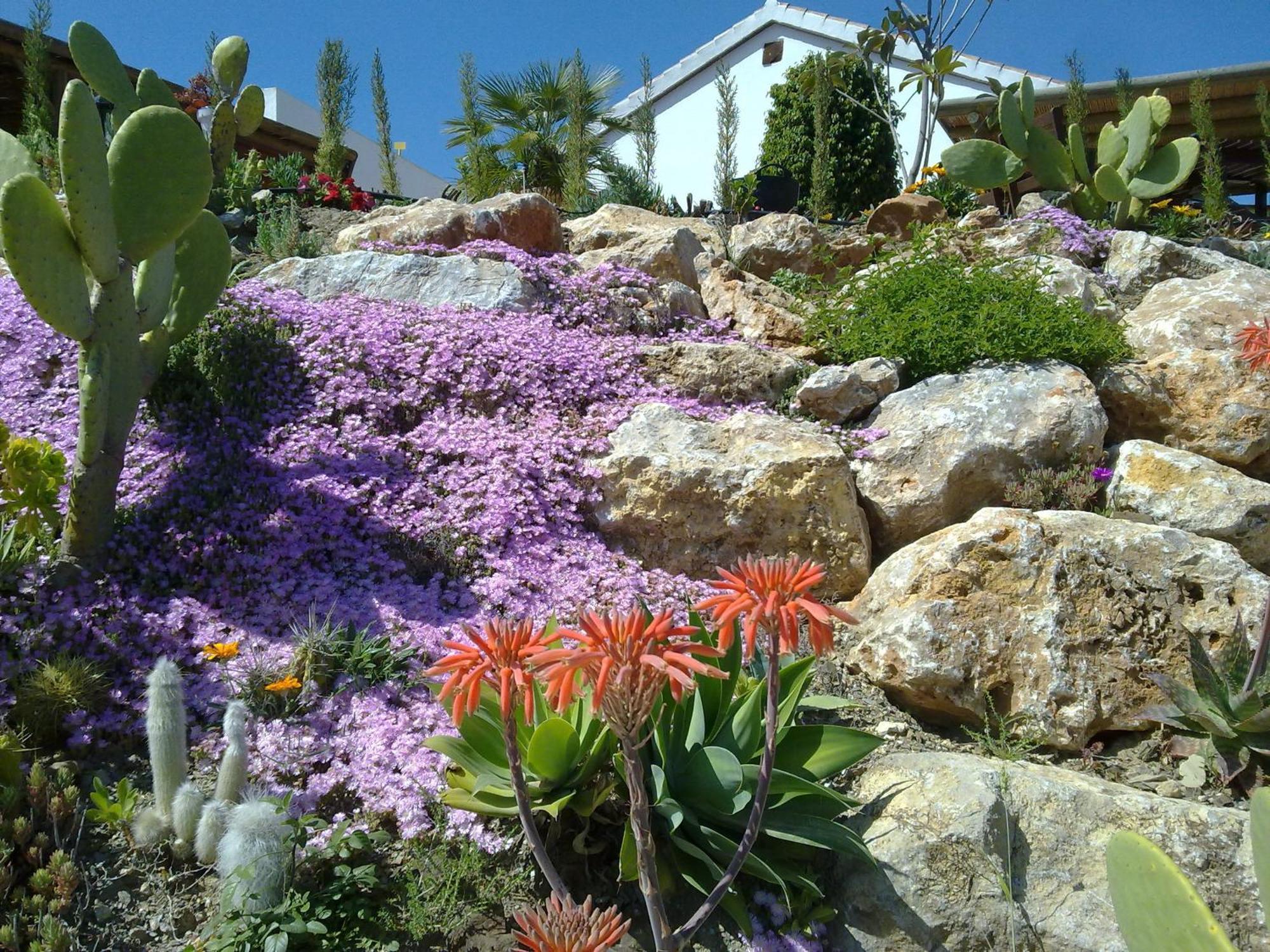 Bed & Breakfast | Guest House Casa Don Carlos Alhaurin el Grande Luaran gambar