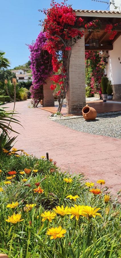Bed & Breakfast | Guest House Casa Don Carlos Alhaurin el Grande Luaran gambar